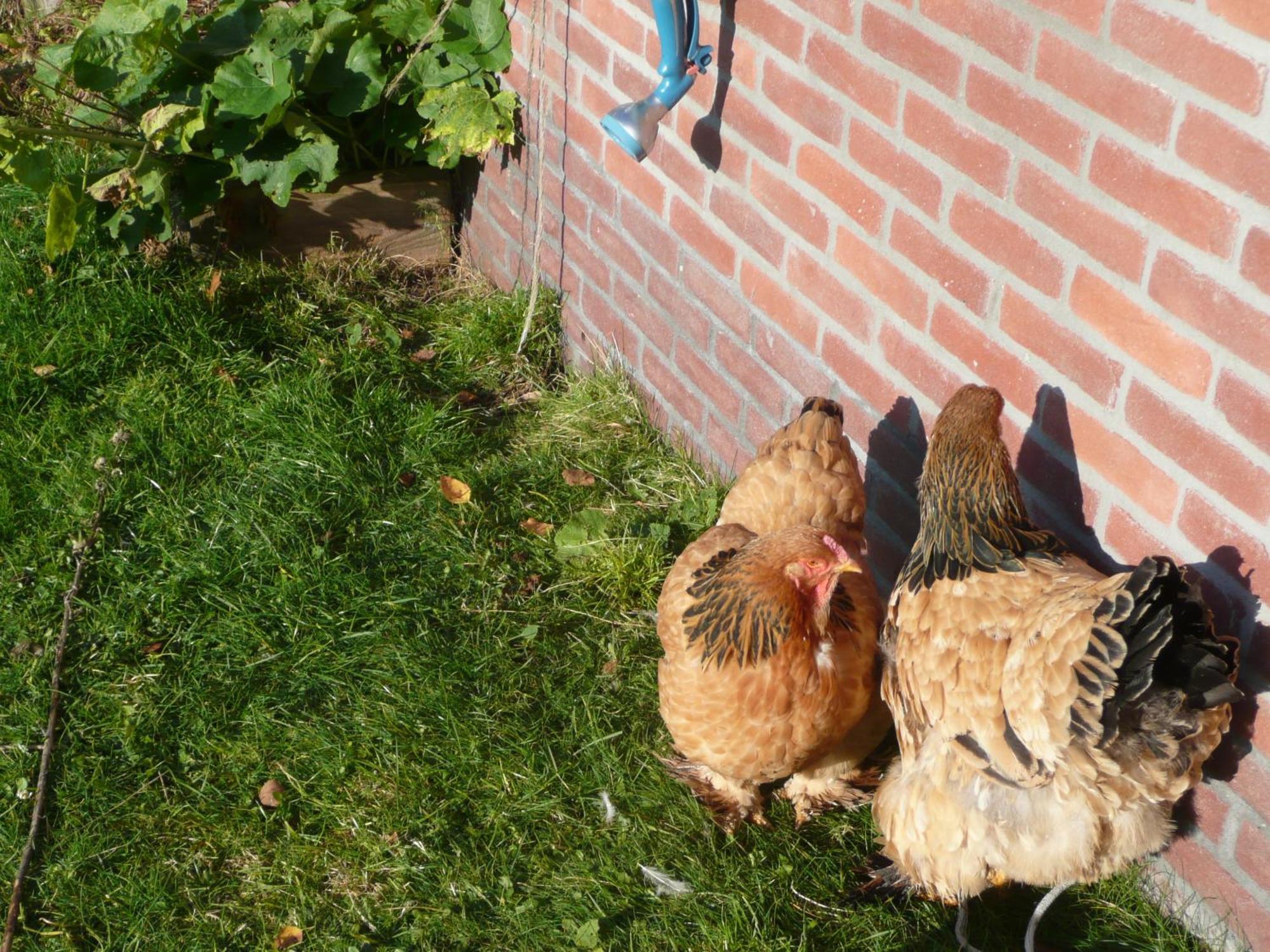 Slaopen En Stoet Bed & Breakfast Anderen Dış mekan fotoğraf